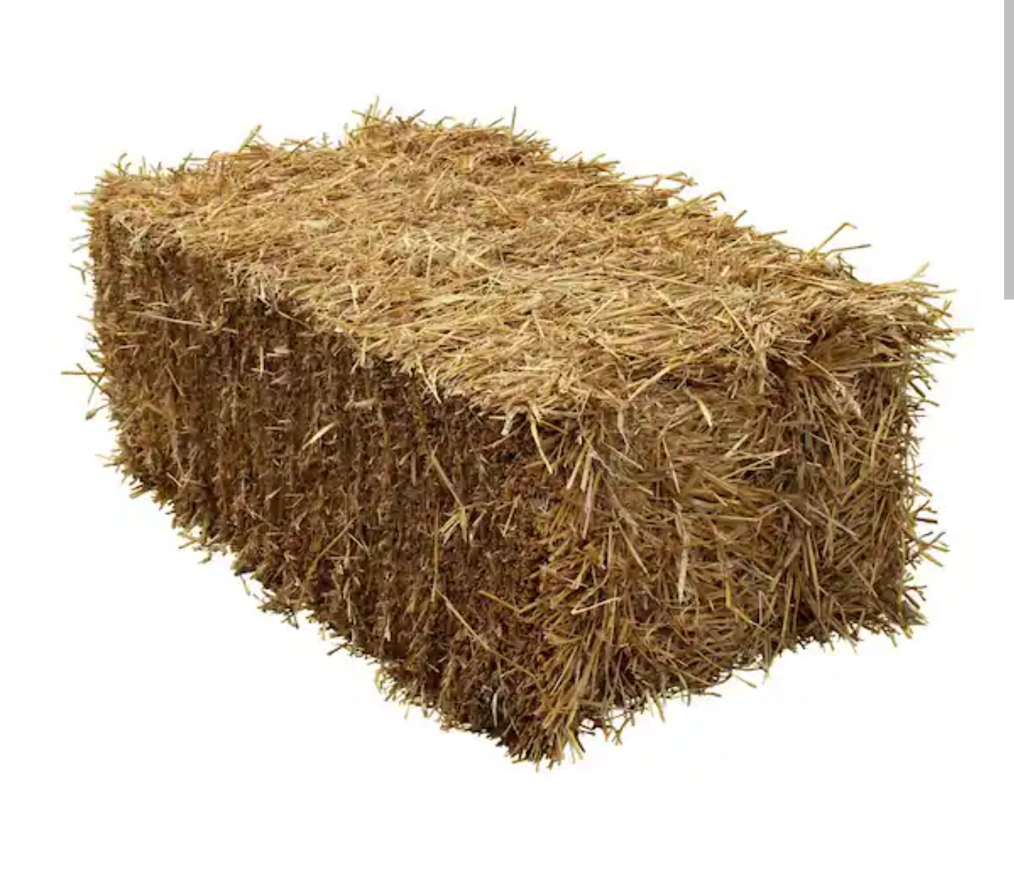 Buy a Bale